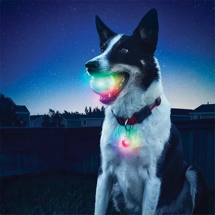 Luminous LED Pet Dog Bite Glowing Ball