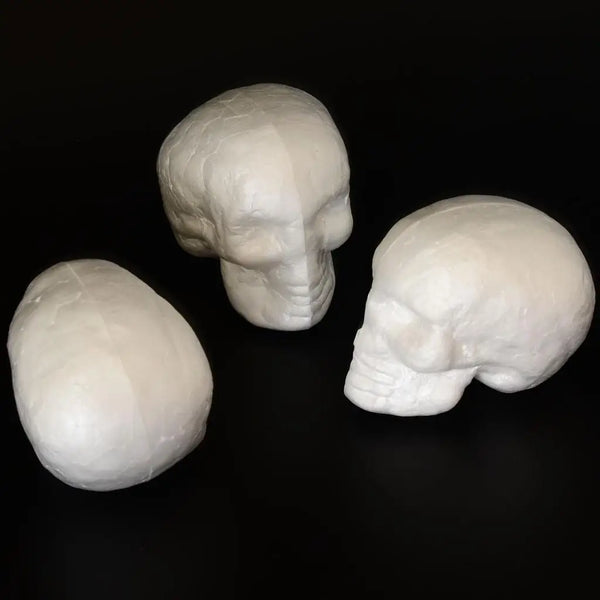 Foam Skull Modeling White 3D Polystyrene